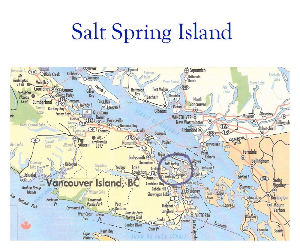 Salt Spring Map10001 